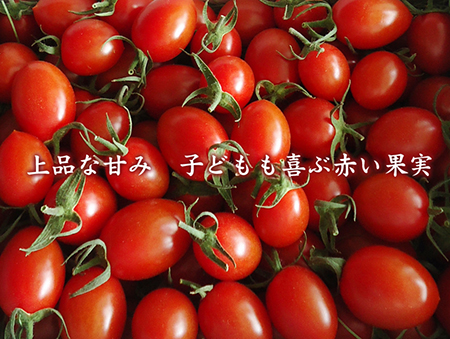 Ȃׂ̃~jg}g_ St@[ g}gAbvʐ^